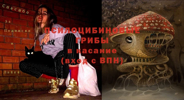 MESCALINE Нефтегорск