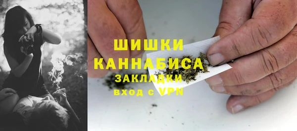 спиды Дмитриев