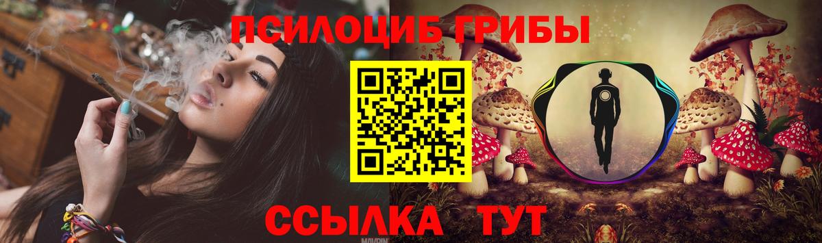 Галлюциногенные грибы Кумертау